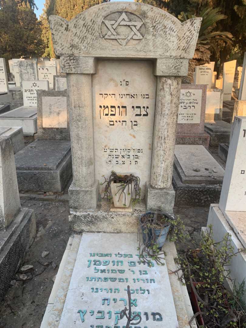 קברו של צבי הופמן. תמונה 2