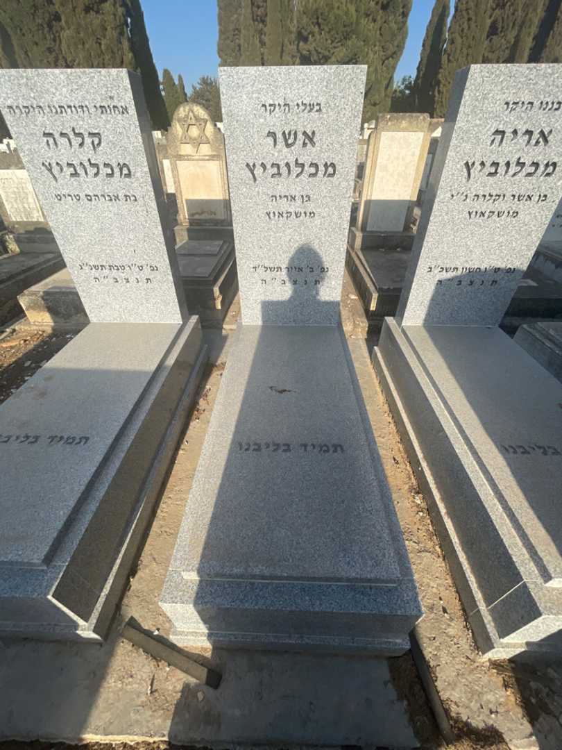 קברו של אשר מכלוביץ. תמונה 2