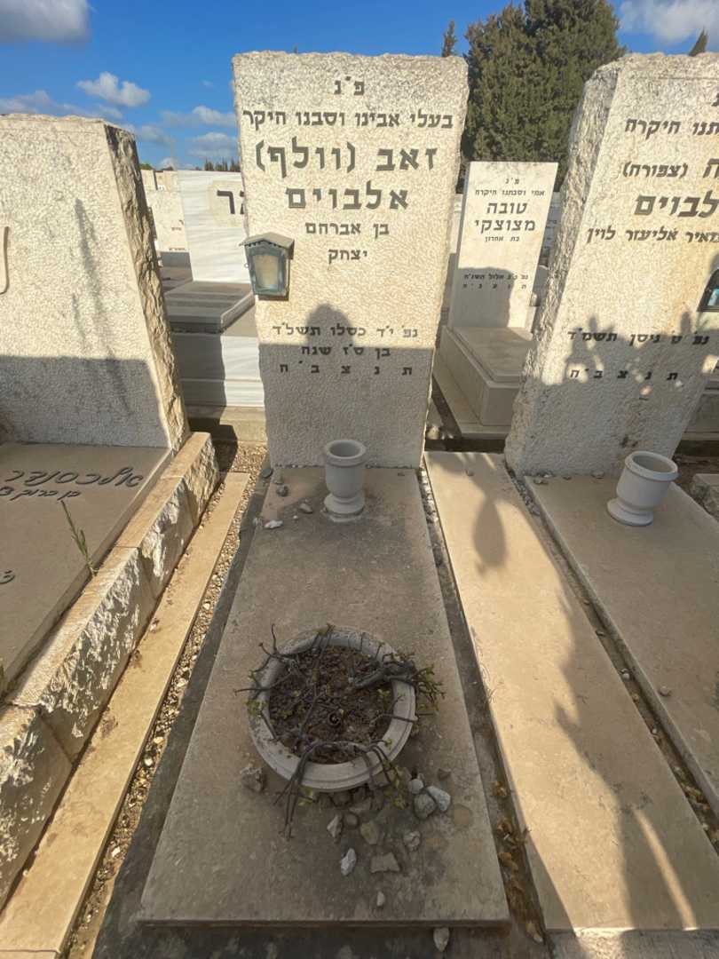 קברו של זאב "וולף" אלביום. תמונה 2