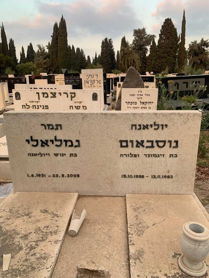 קברו של יוליאנה נוסבאום. תמונה 1