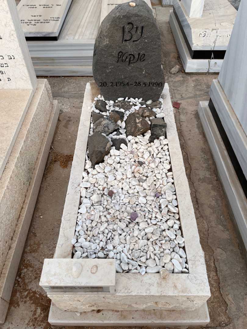 קברו של ניצן שנקטל