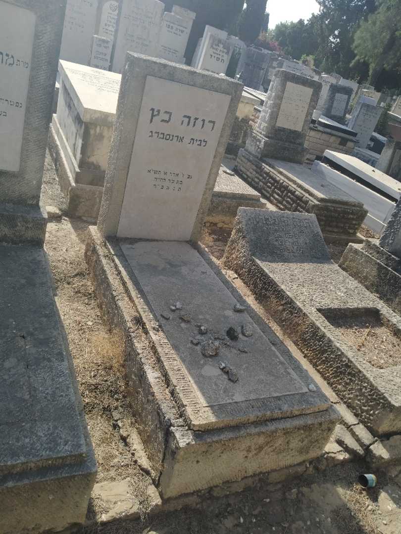 קברו של רוזה כץ