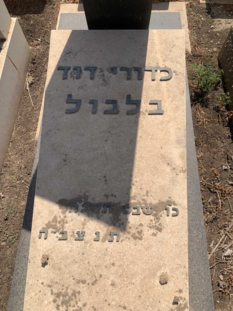 קברו של כדורי דוד בלבול. תמונה 2