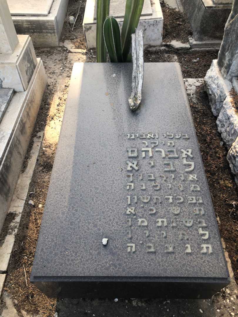 קברו של אברהם לביא