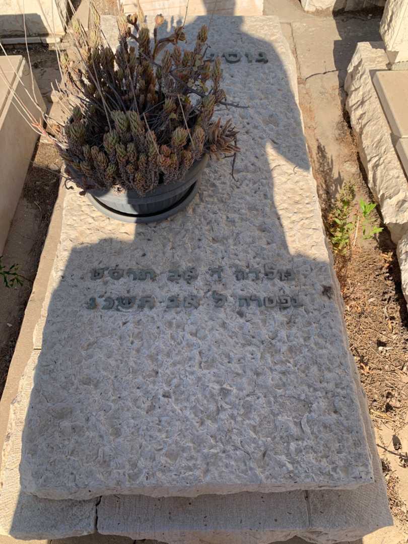 קברו של גוסטבה שטרן. תמונה 1