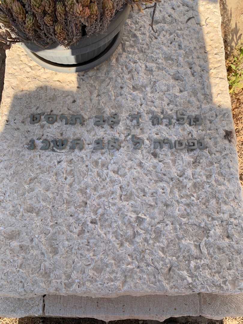 קברו של גוסטבה שטרן. תמונה 2