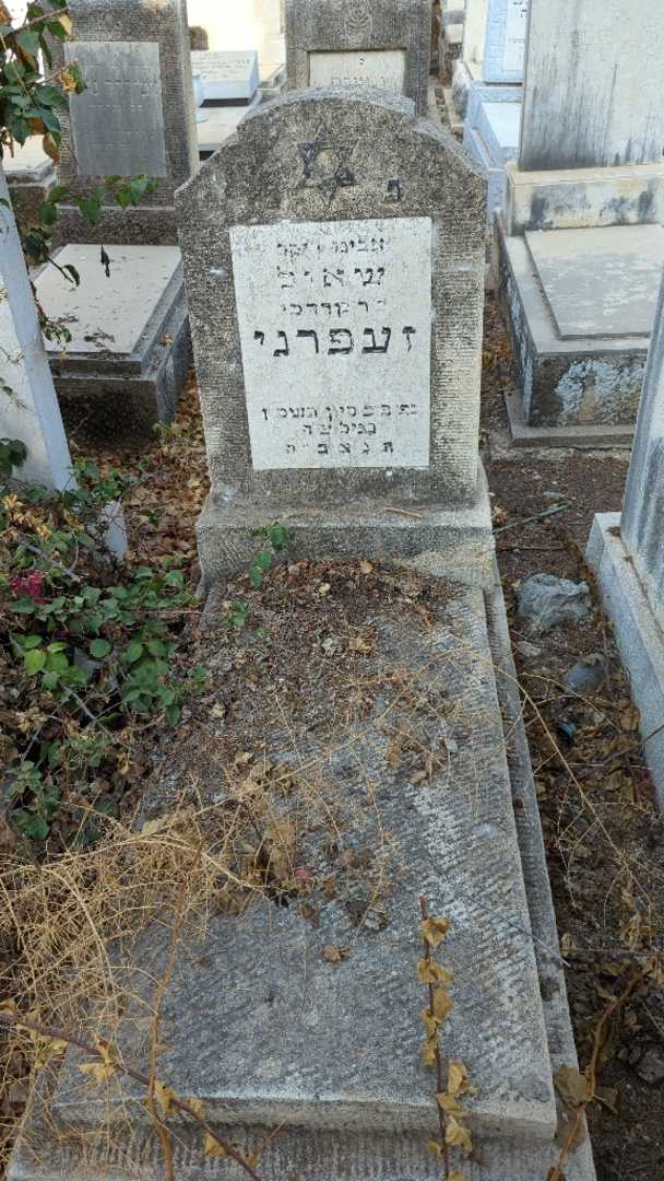 קברו של שאול זעפרני