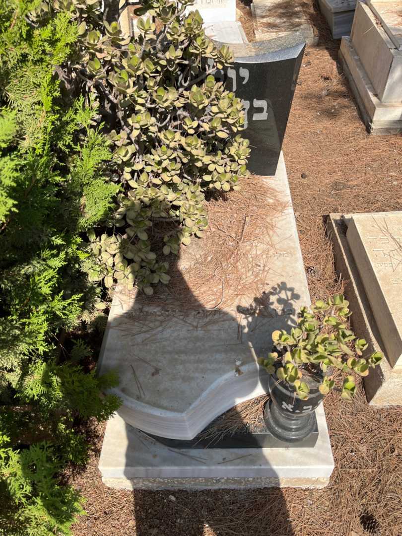 קברו של יולונד בן ארוש. תמונה 1