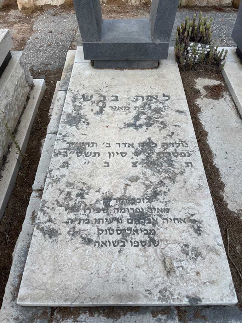 קברו של פרומה שפירו. תמונה 2