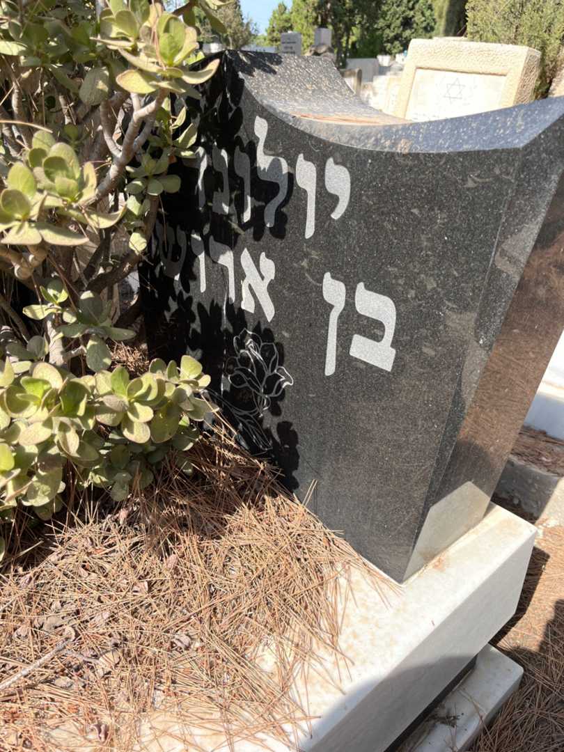 קברו של יולונד בן ארוש. תמונה 2