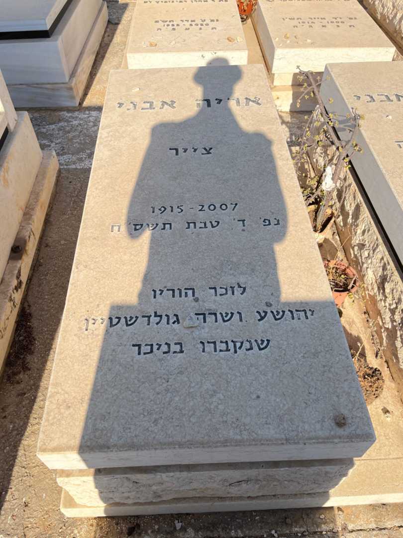 קברו של יהושע גולדשטיין. תמונה 1