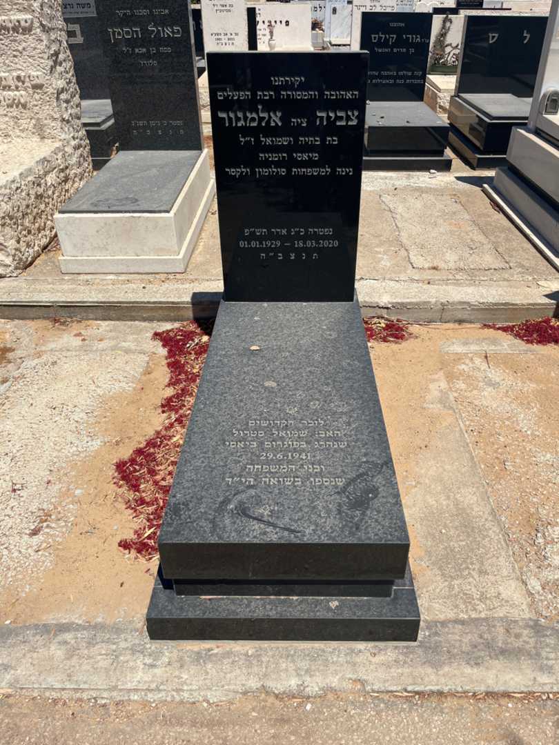 קברו של צביה "ציה" אלמגור