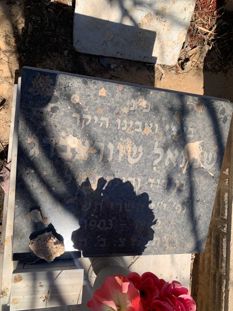 קברו של שמואל שוורצברג. תמונה 3
