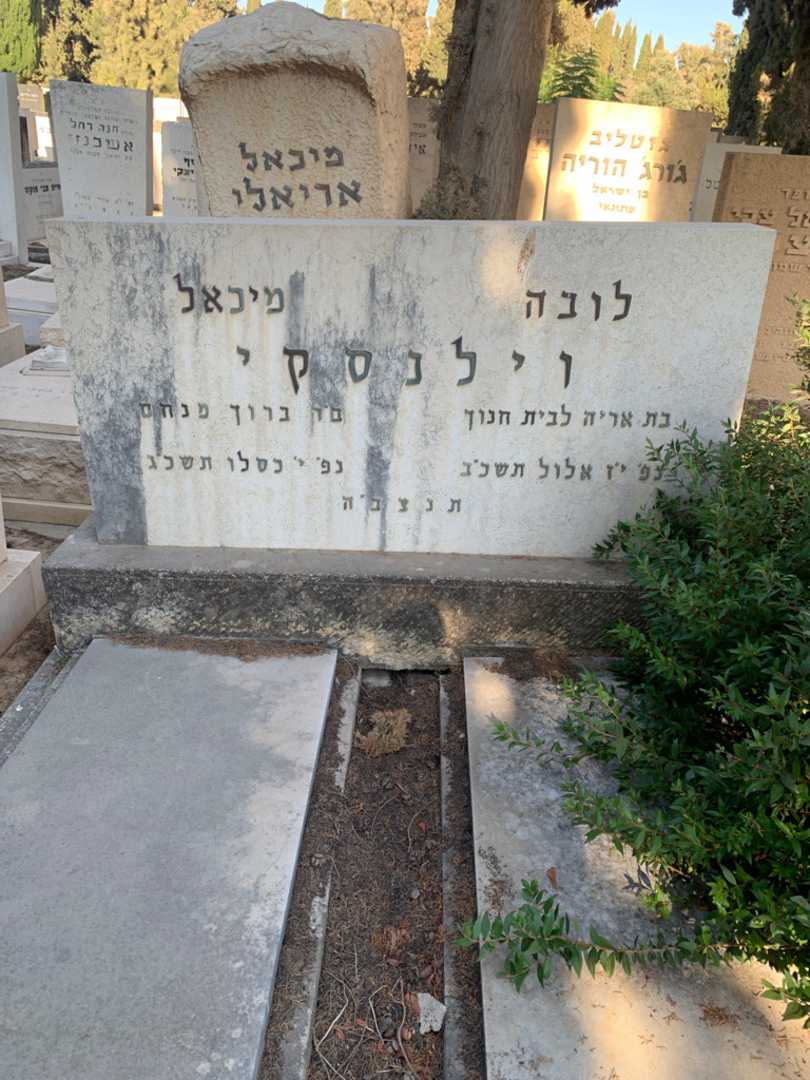 קברו של מיכאל וילנסקי. תמונה 1