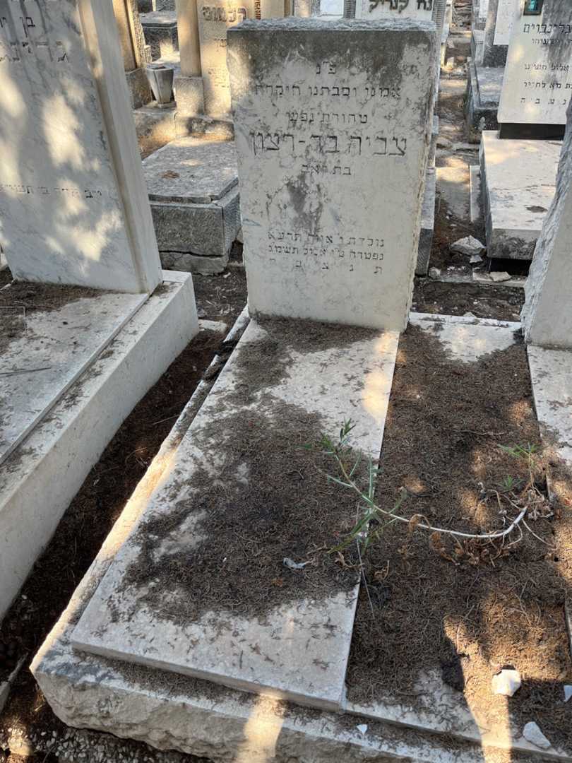 קברו של צביה בר- רצון. תמונה 2