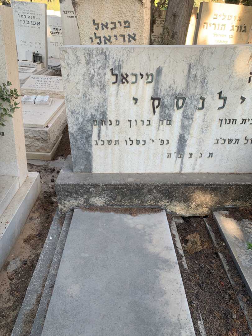 קברו של מיכאל וילנסקי. תמונה 2
