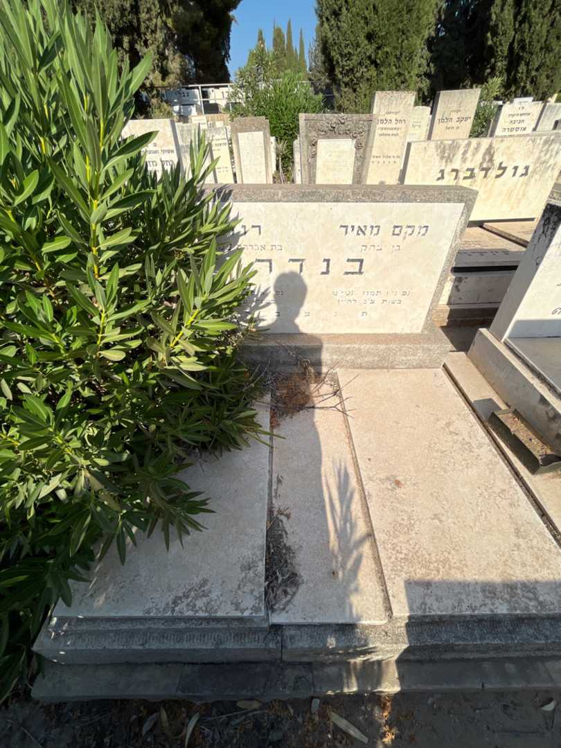 קברו של רוזה בנדר. תמונה 2