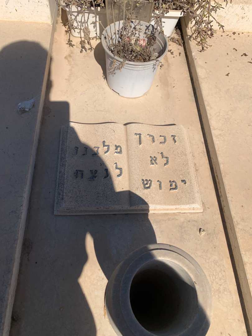 קברו של מנחם מנחם. תמונה 2