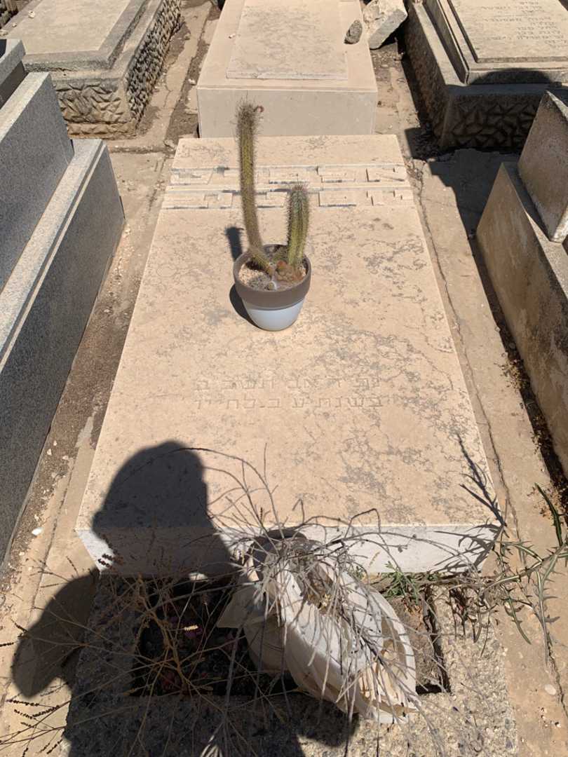 קברו של אלברט יום-טוב. תמונה 1