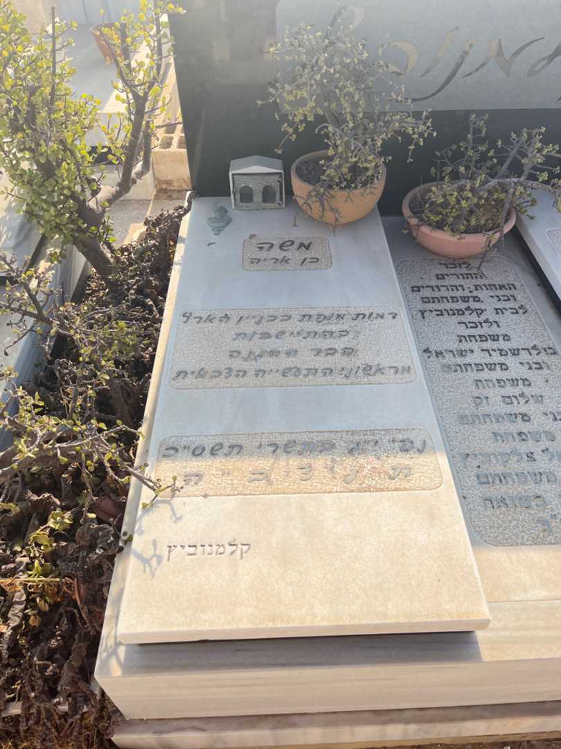 קברו של ישראל גולדשמיד. תמונה 1