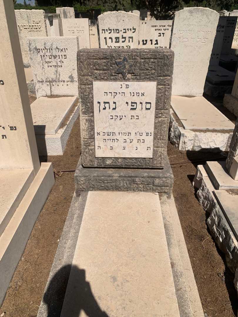 קברו של סופי נתן