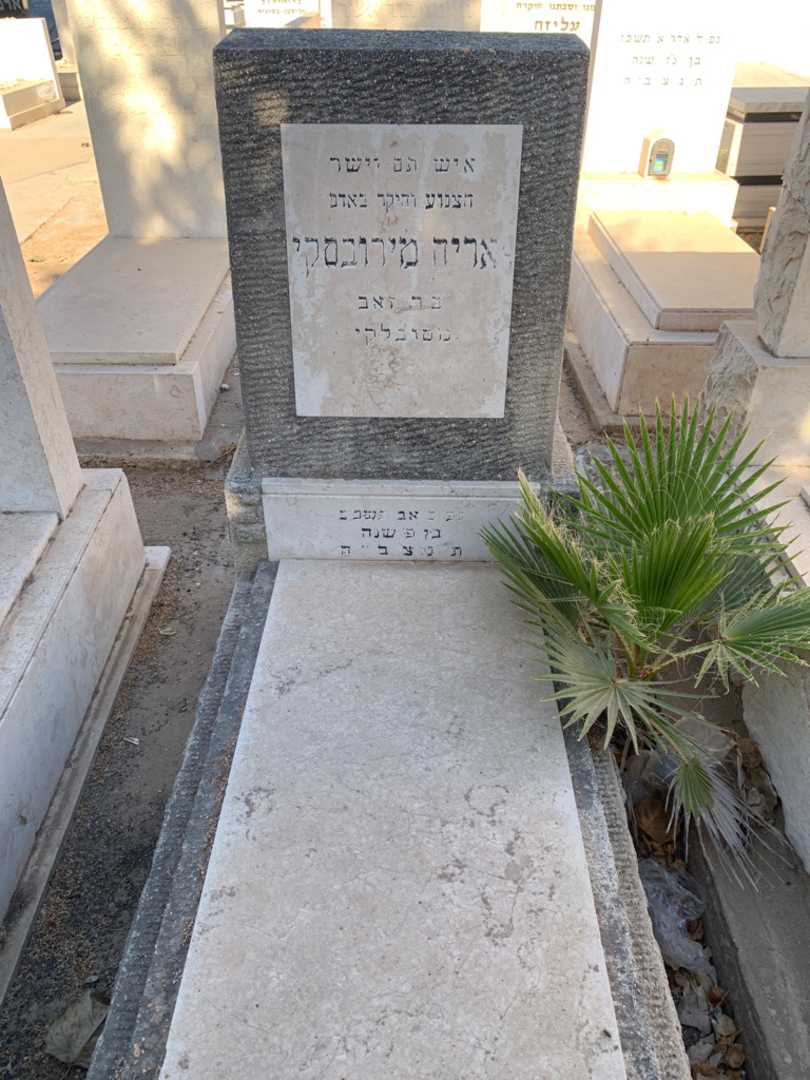 קברו של אריה מירובסקי. תמונה 1