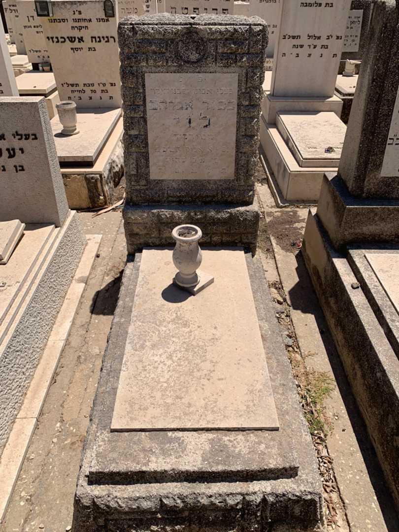 קברו של בכור אברהם לוי. תמונה 1