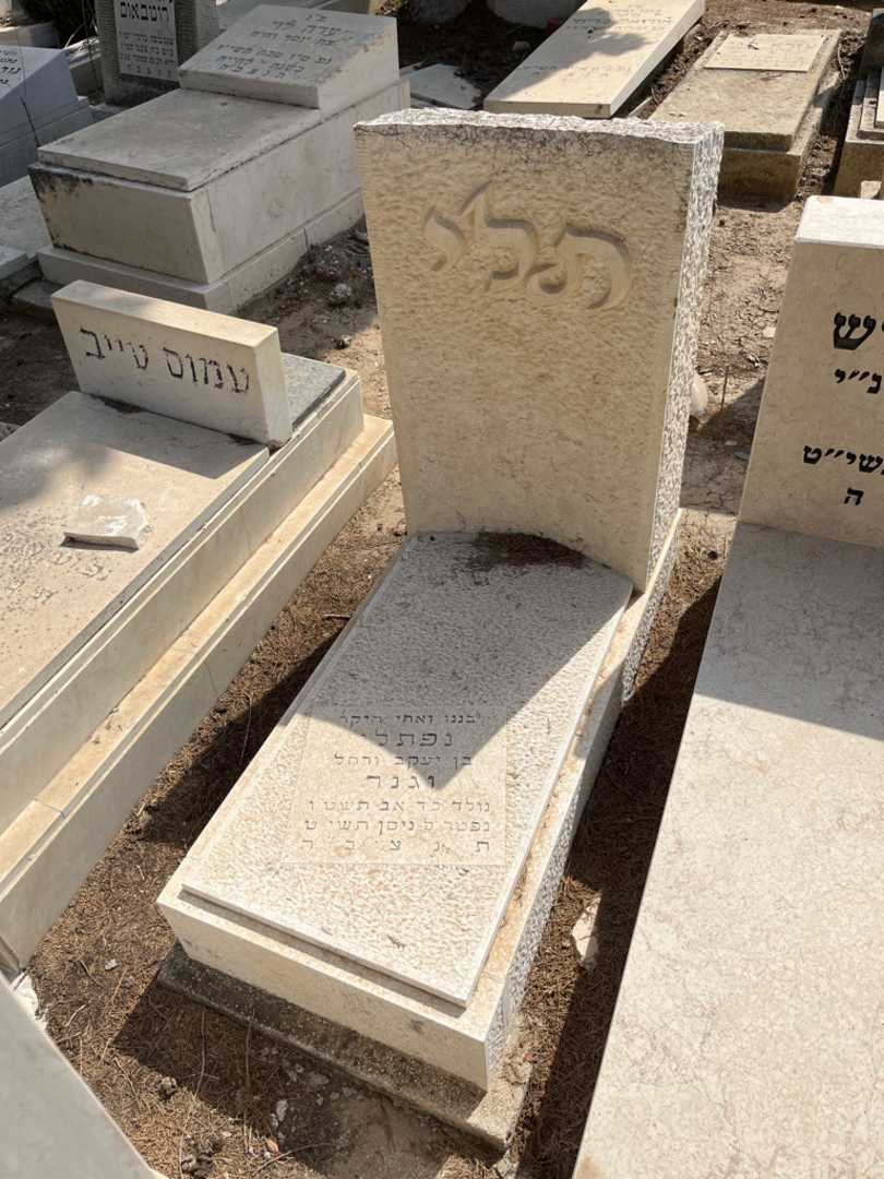 קברו של נפתלי "תלי" וגנר