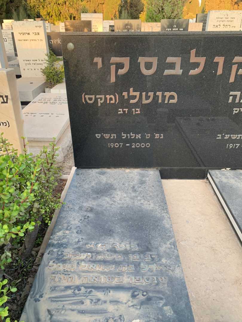 קברו של איידל מיכל. תמונה 2