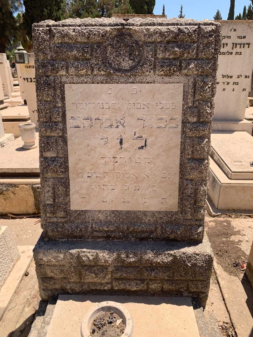 קברו של בכור אברהם לוי. תמונה 2