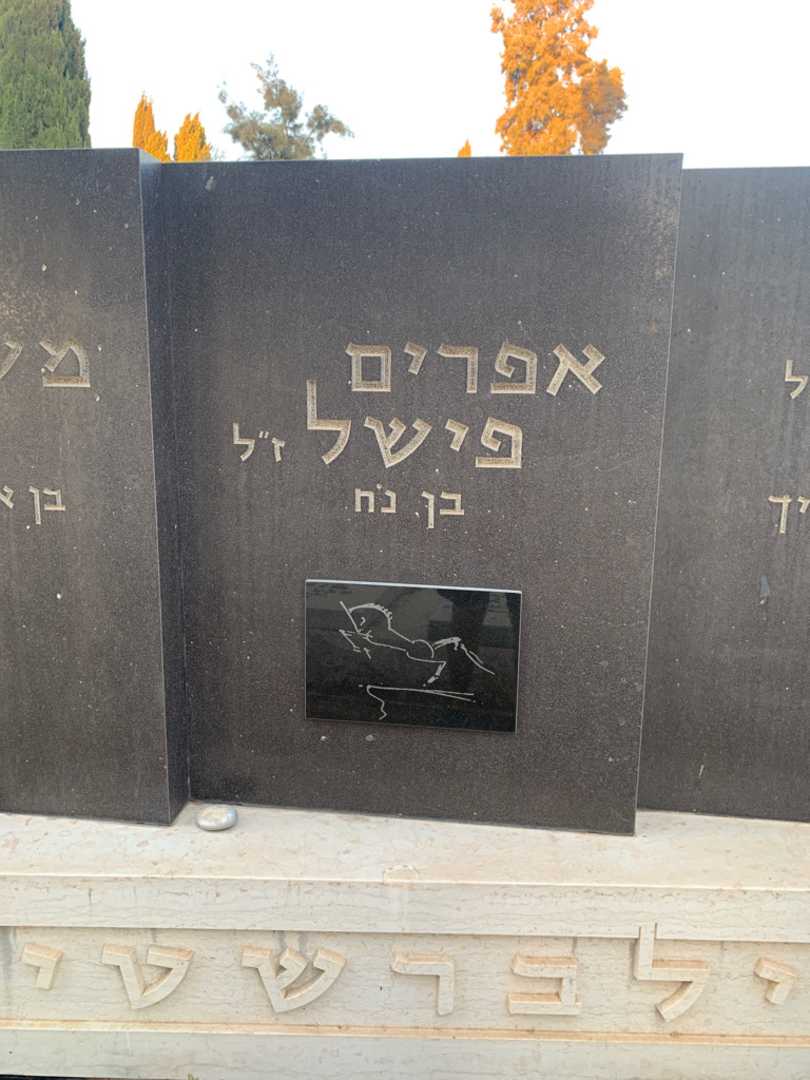 קברו של אפרים פישל זילברשטין. תמונה 2