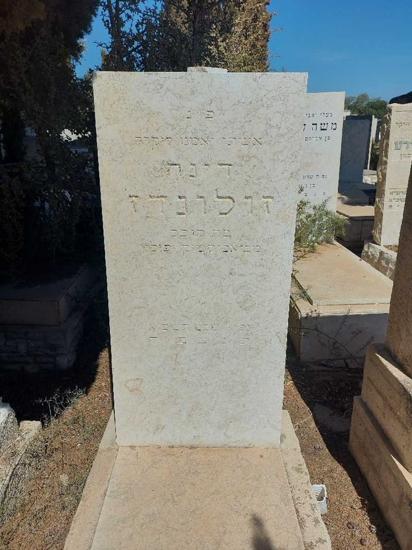 קברו של דינה זולונדז