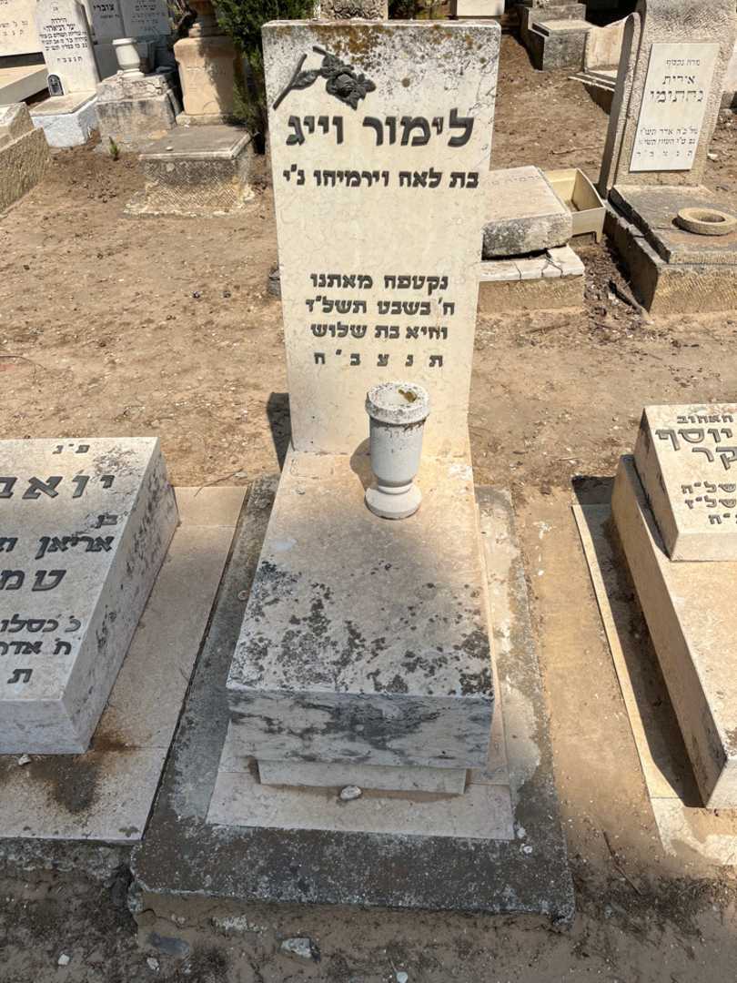 קברו של לימור וייג