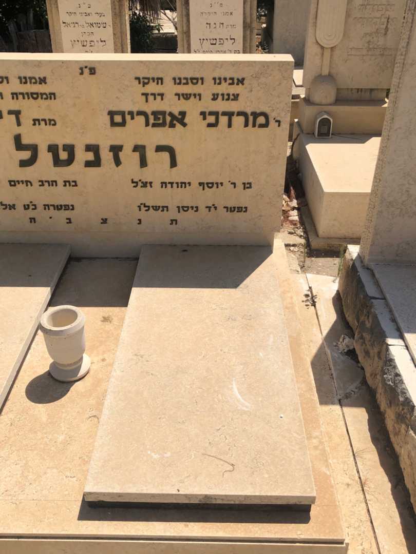 קברו של מרדכי אפרים רוזנטל. תמונה 2