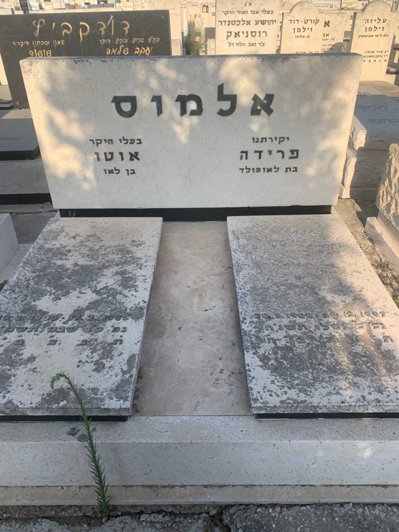 קברו של פרידה אלמוס. תמונה 2