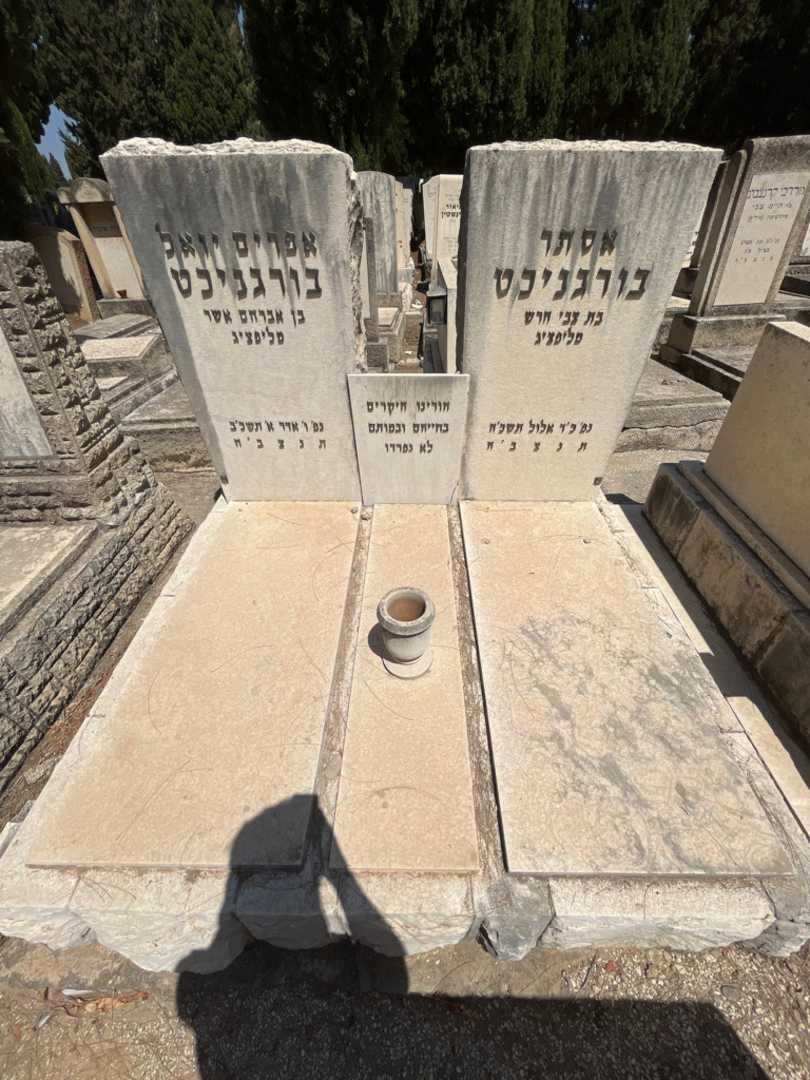 קברו של אסתר בורגניכט. תמונה 2