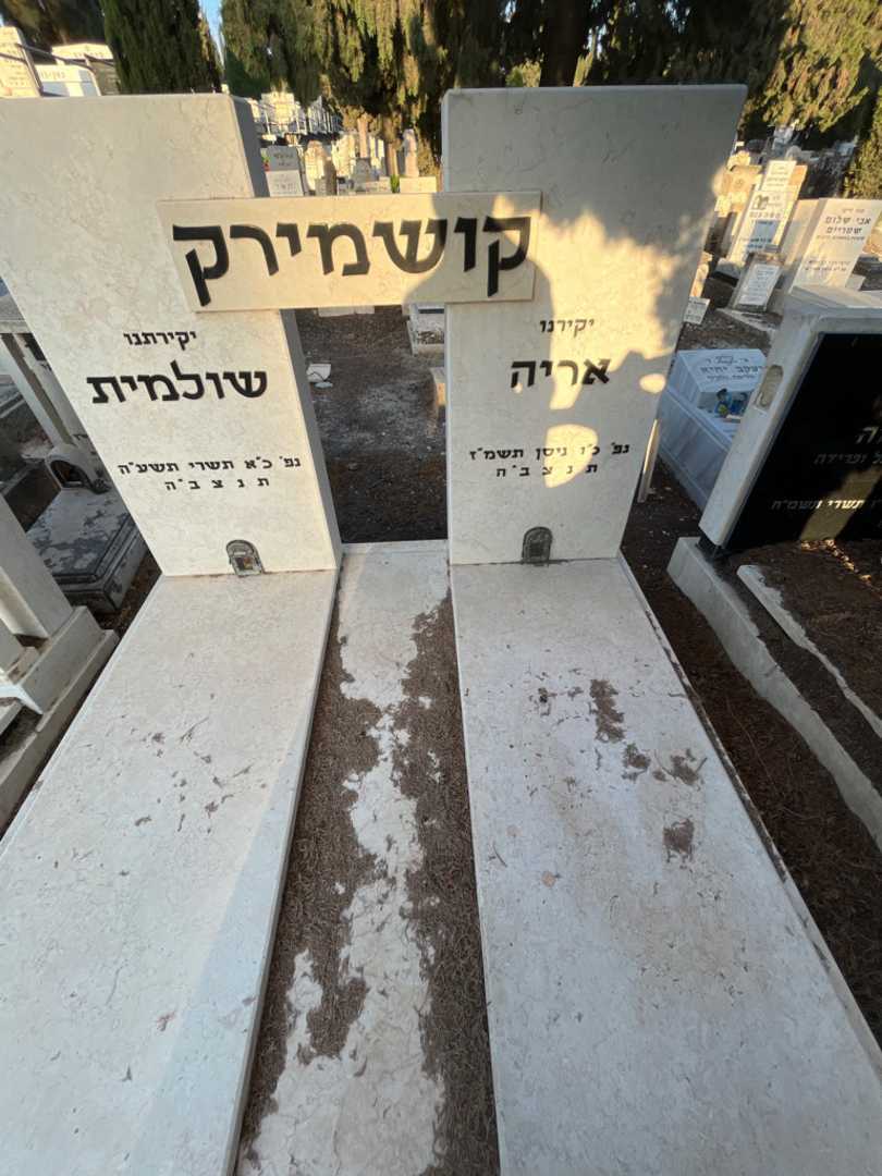 קברו של קושמירק אריה. תמונה 2