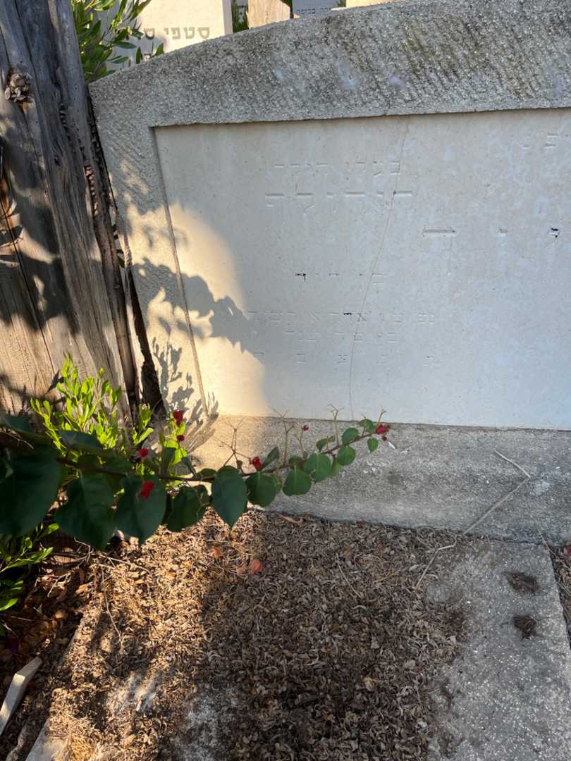קברו של רודולף רייך. תמונה 2
