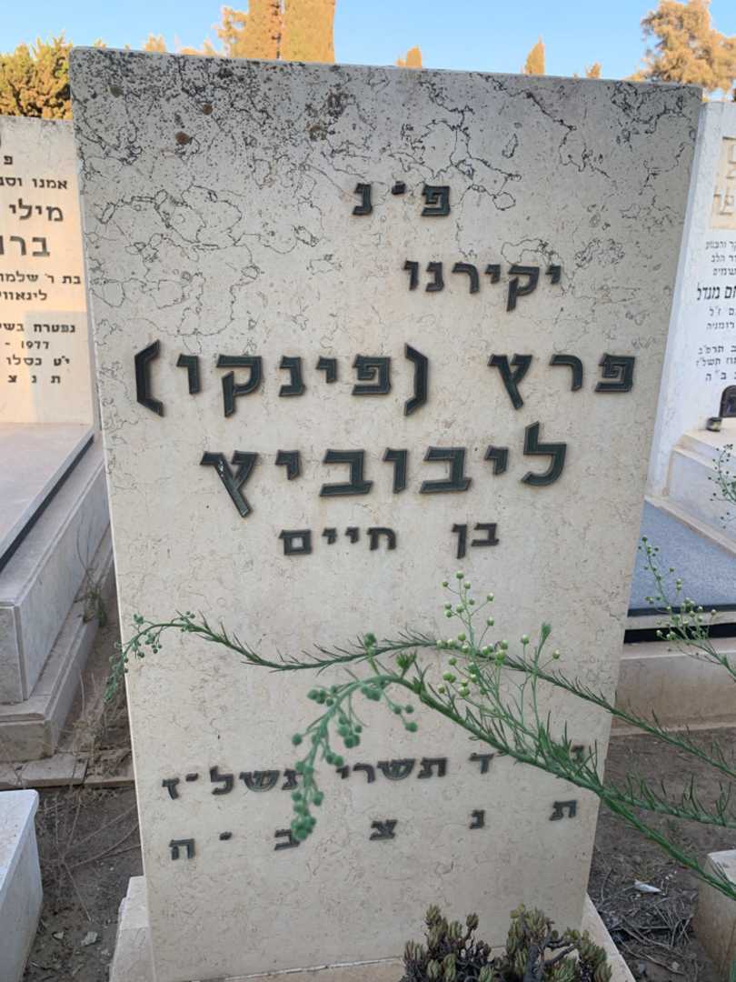 קברו של פרץ "פינקו" ליבוביץ