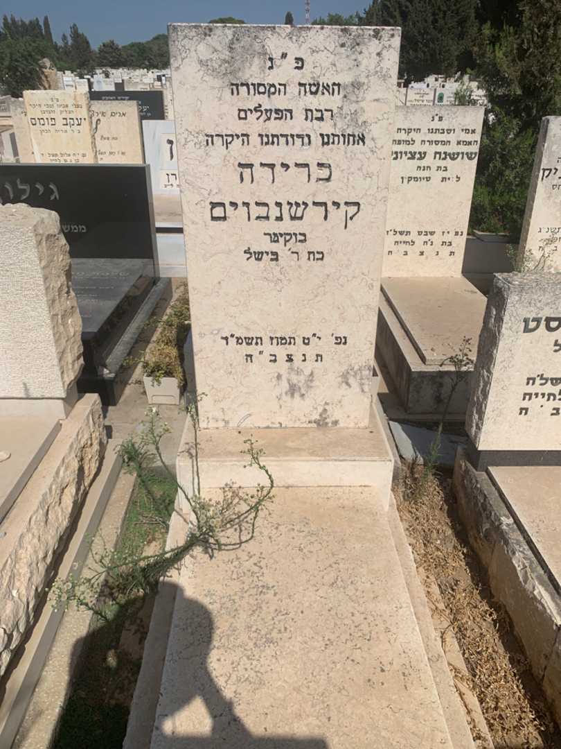 קברו של פרידה קירשנבוים