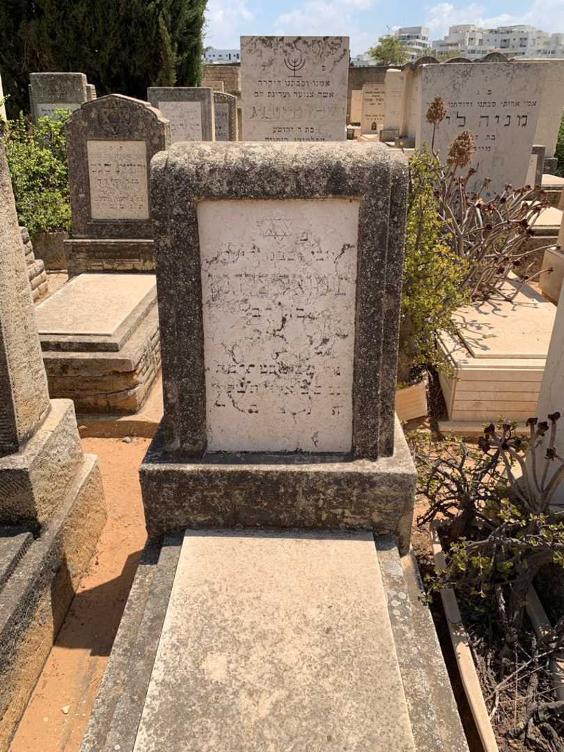קברו של שמואל פלדמן