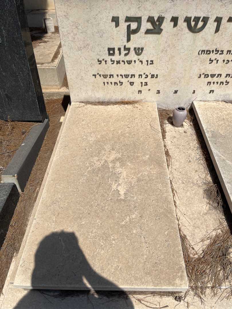 קברו של שלום רדושיצקי. תמונה 1