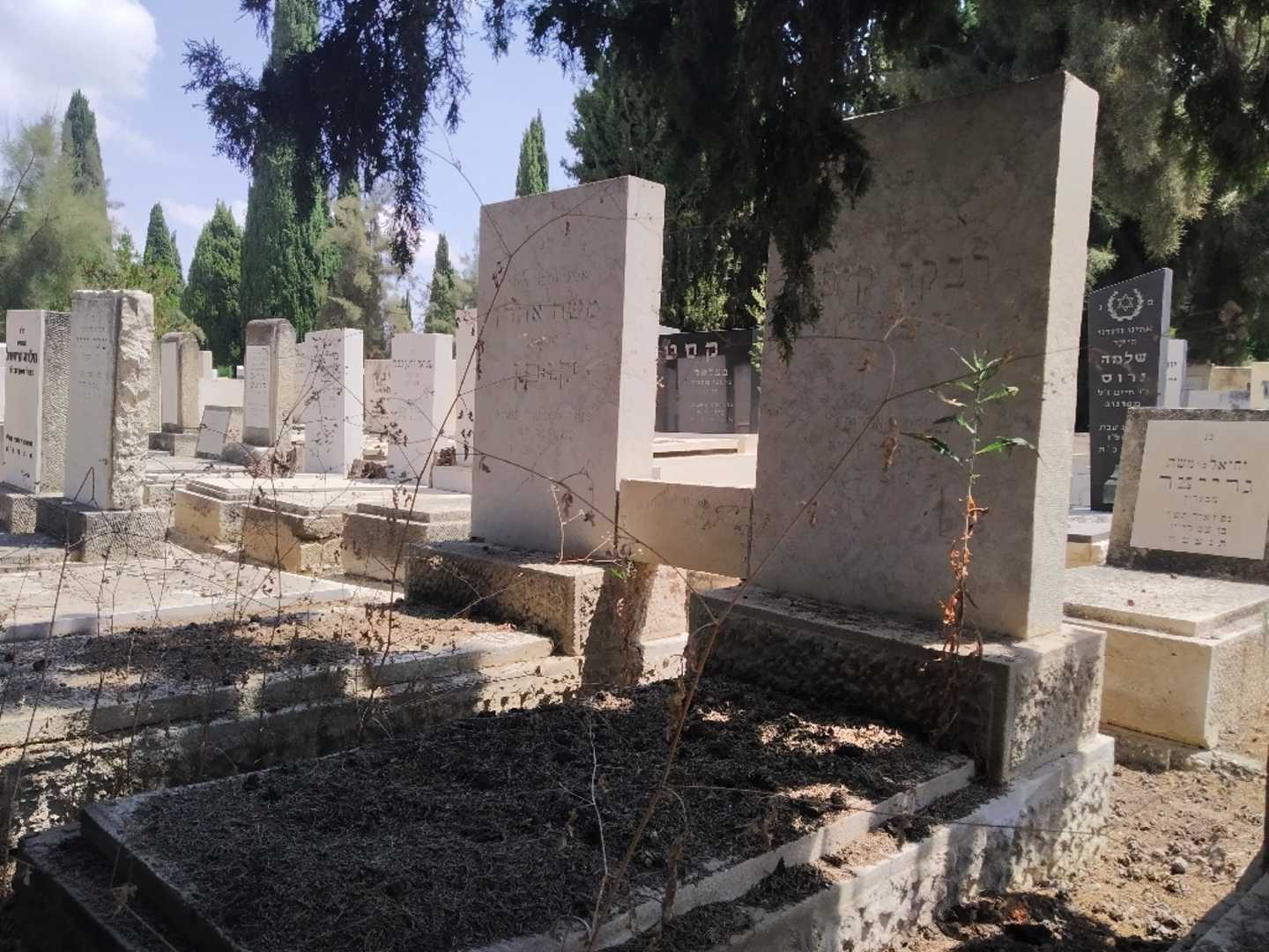 קברו של רבקה קיפן. תמונה 2