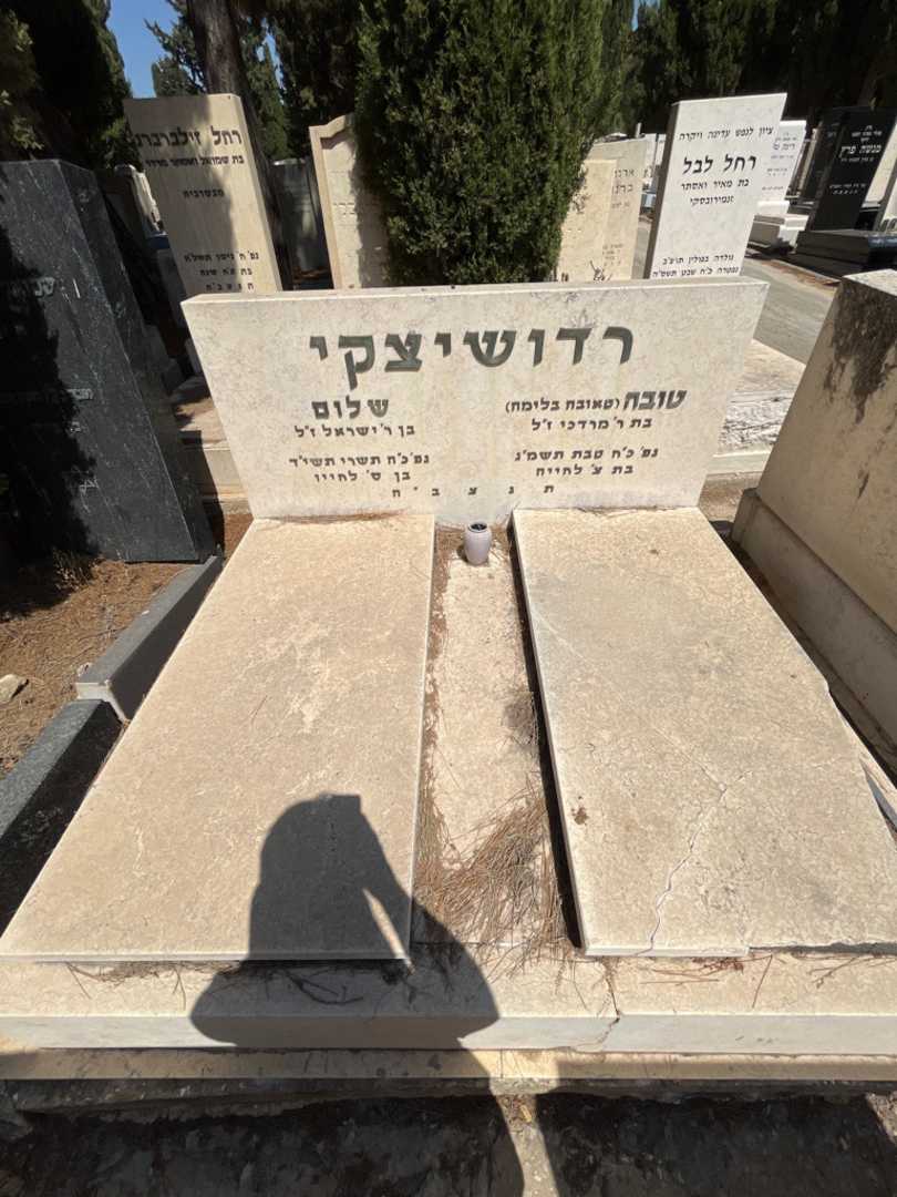 קברו של שלום רדושיצקי. תמונה 2