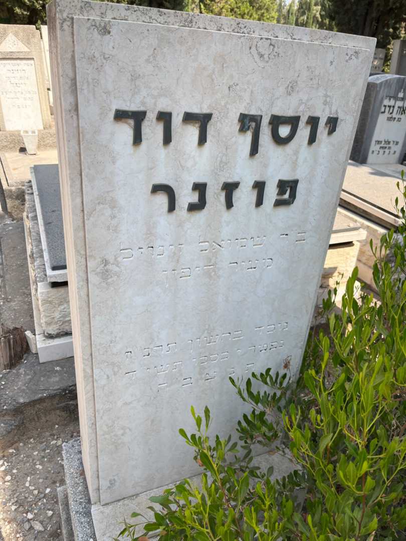 קברו של יוסף דוד פוזנר. תמונה 2