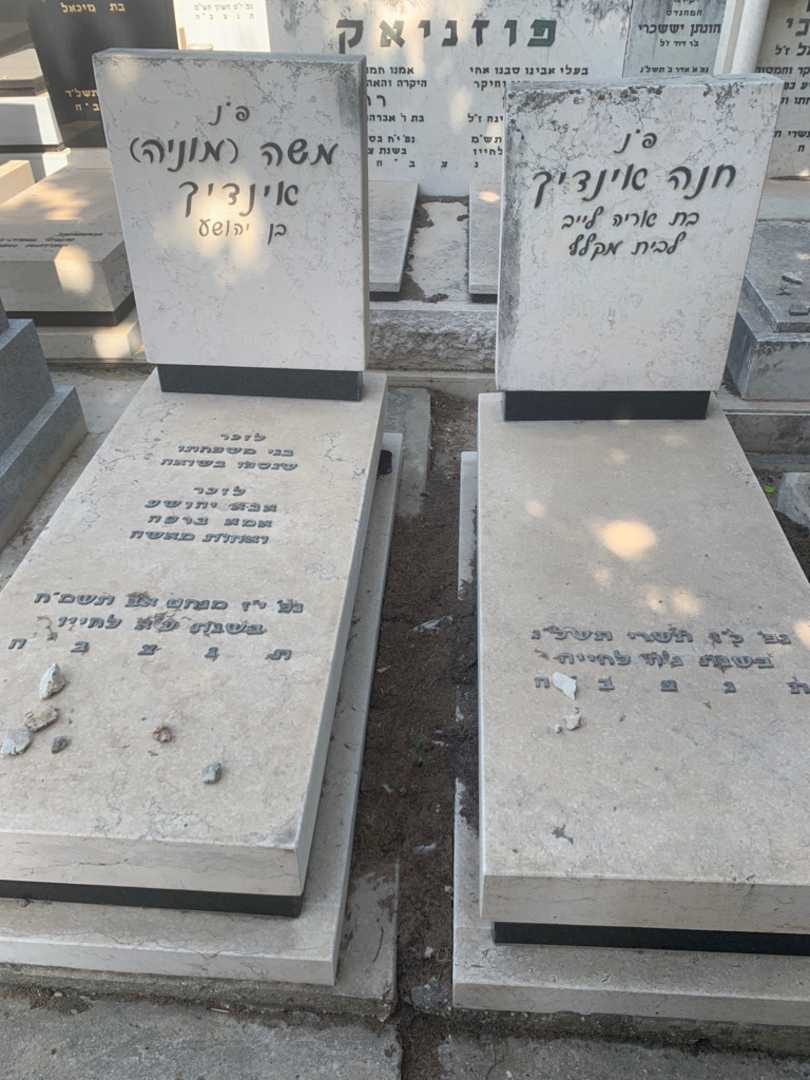 קברו של יהושע אינדיך. תמונה 2