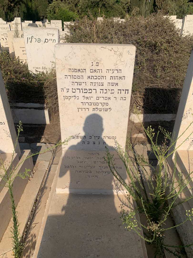 קברו של חיה פיגה רפפורט