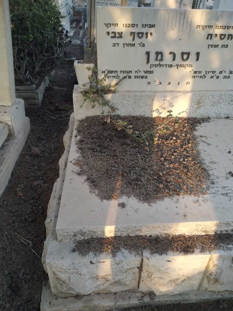 קברו של יוסף צבי וסרמן