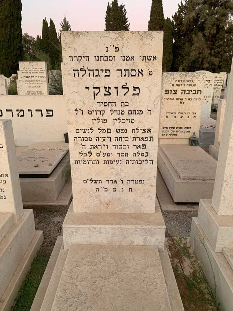 קברו של אסתר פיגהלה פלוצקי