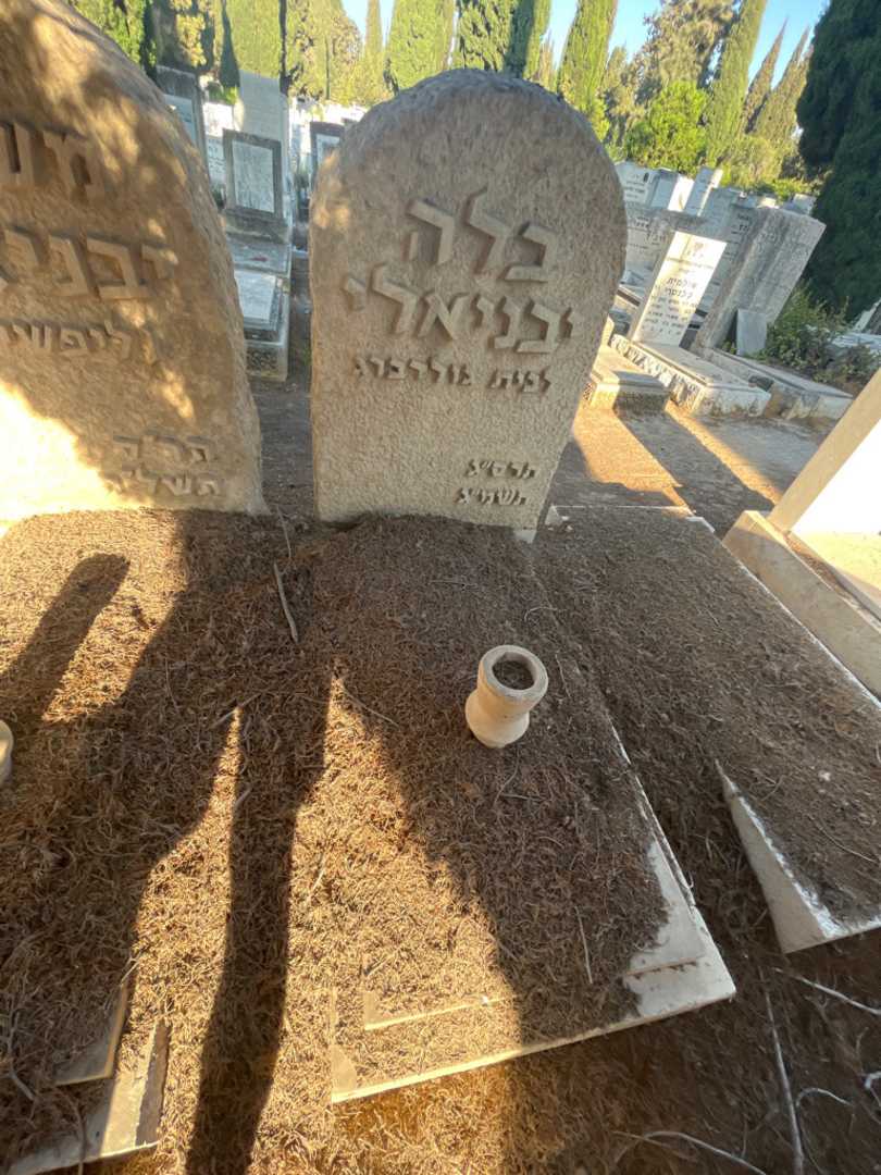 קברו של בלה יבניאלי. תמונה 2